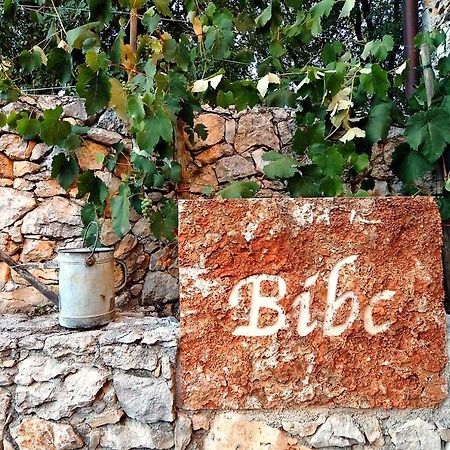 Bibc Wine & Holiday Triest Zewnętrze zdjęcie
